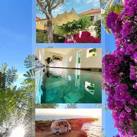 La Jabotte Hotel Antibes Eksteriør billede