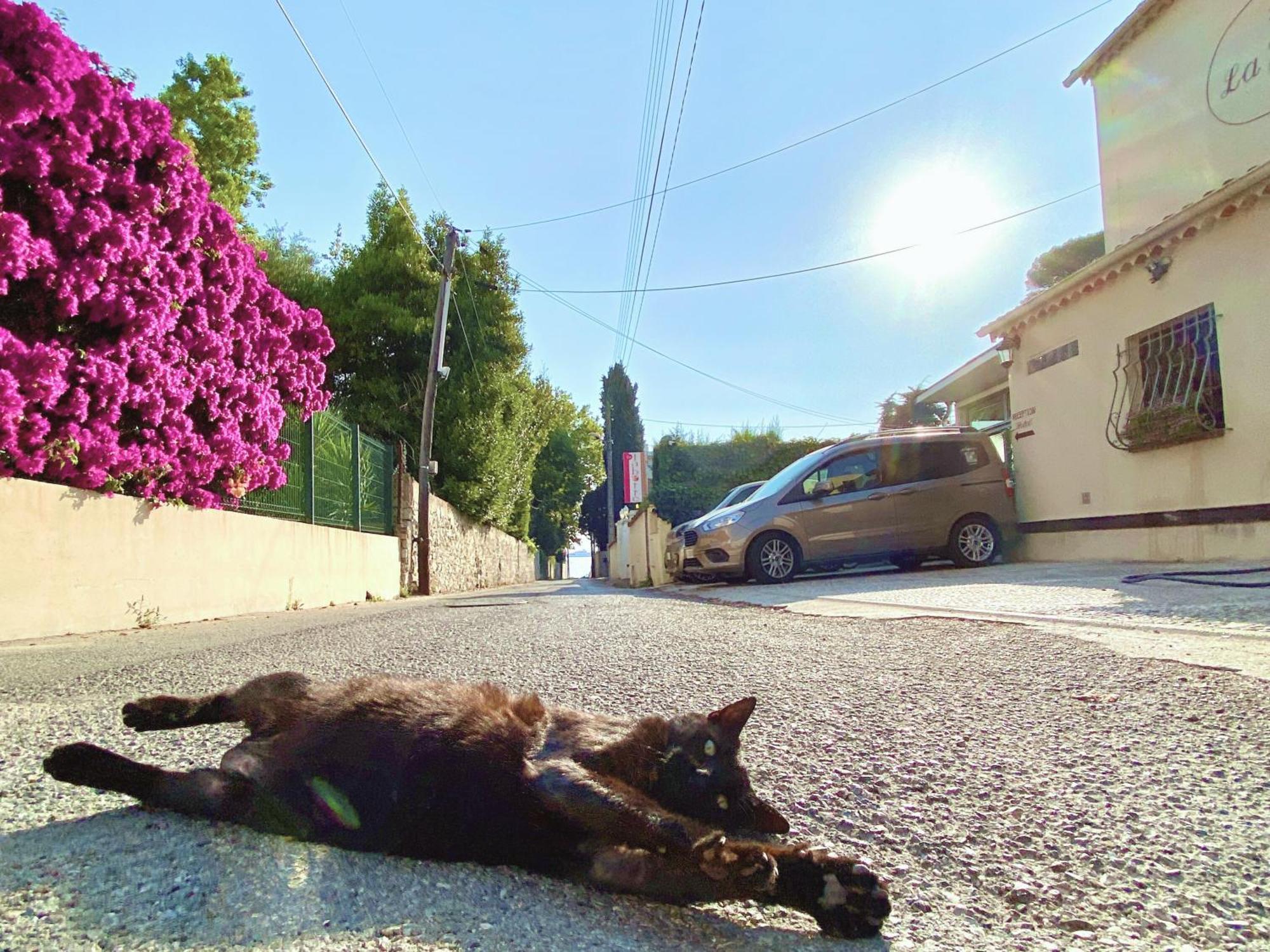 La Jabotte Hotel Antibes Eksteriør billede
